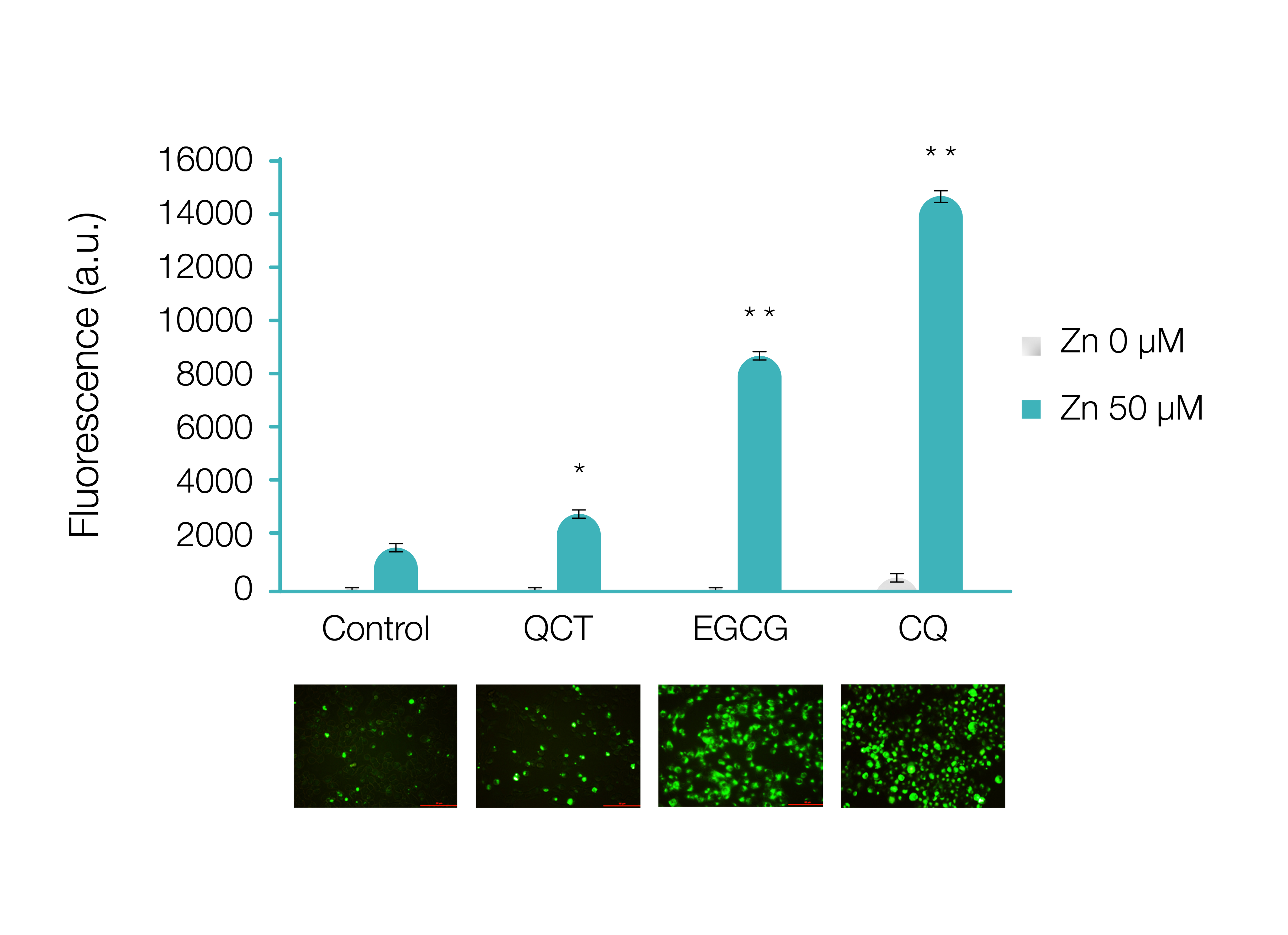 product_science-study-graphs-01.png