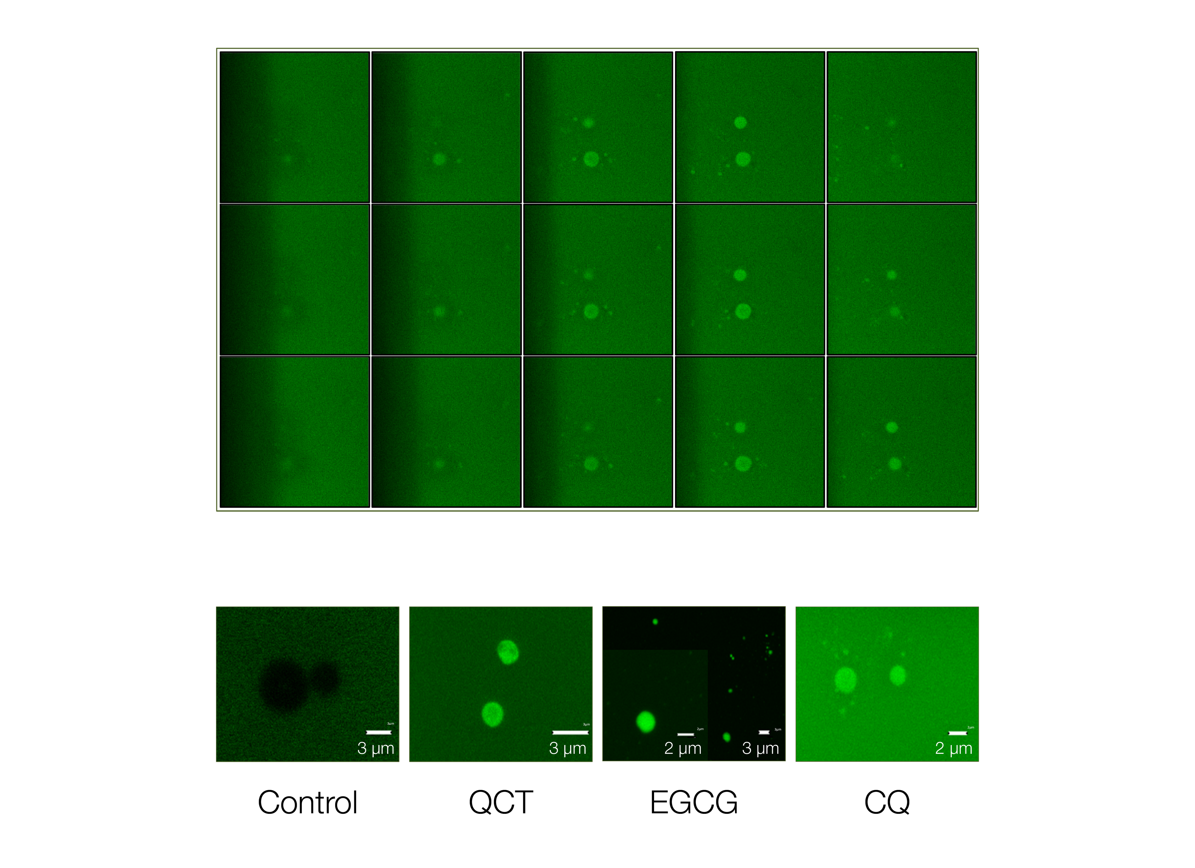 product_science-study-graphs-02.png