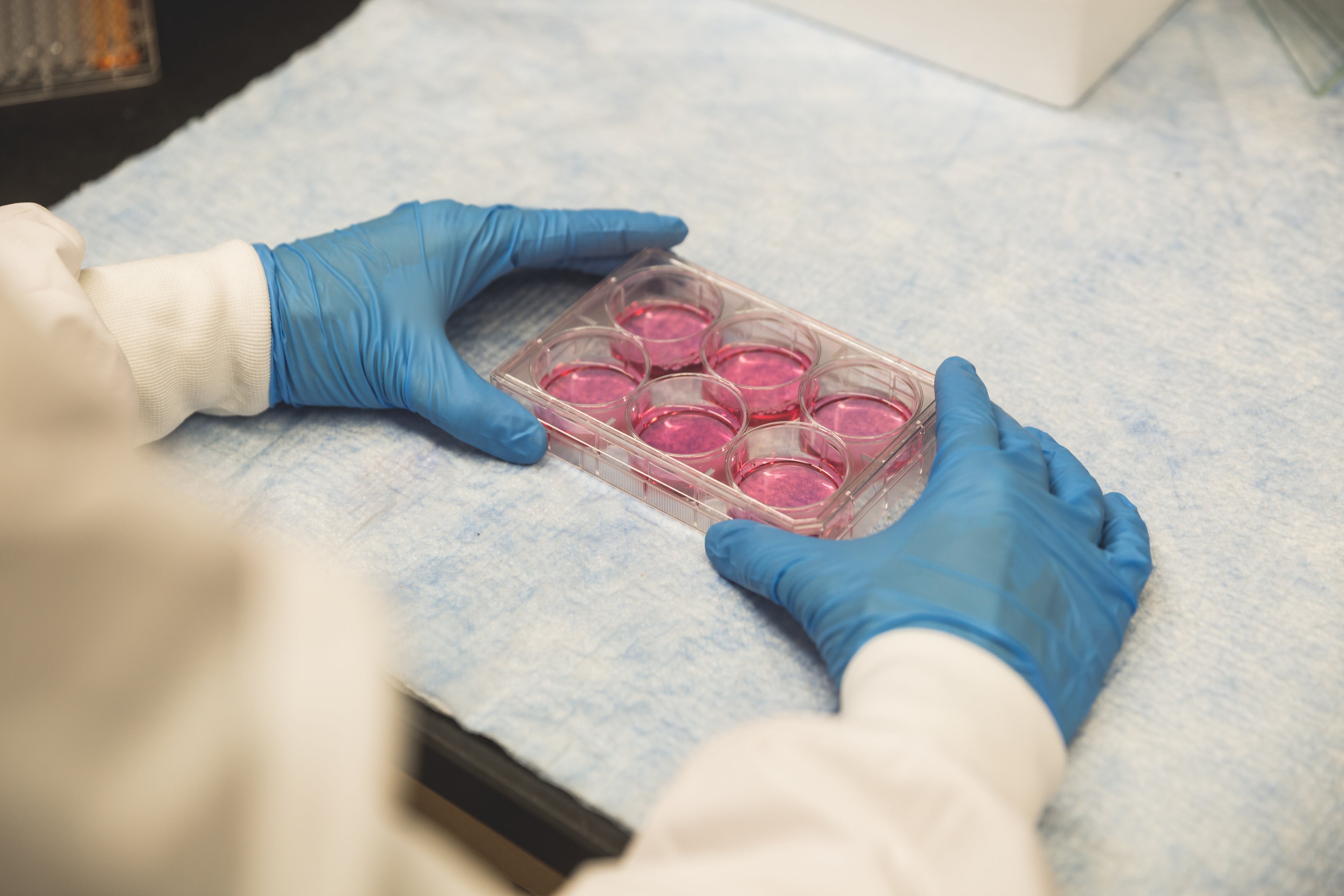 scientist-with-lab-trays-and-pink.jpg